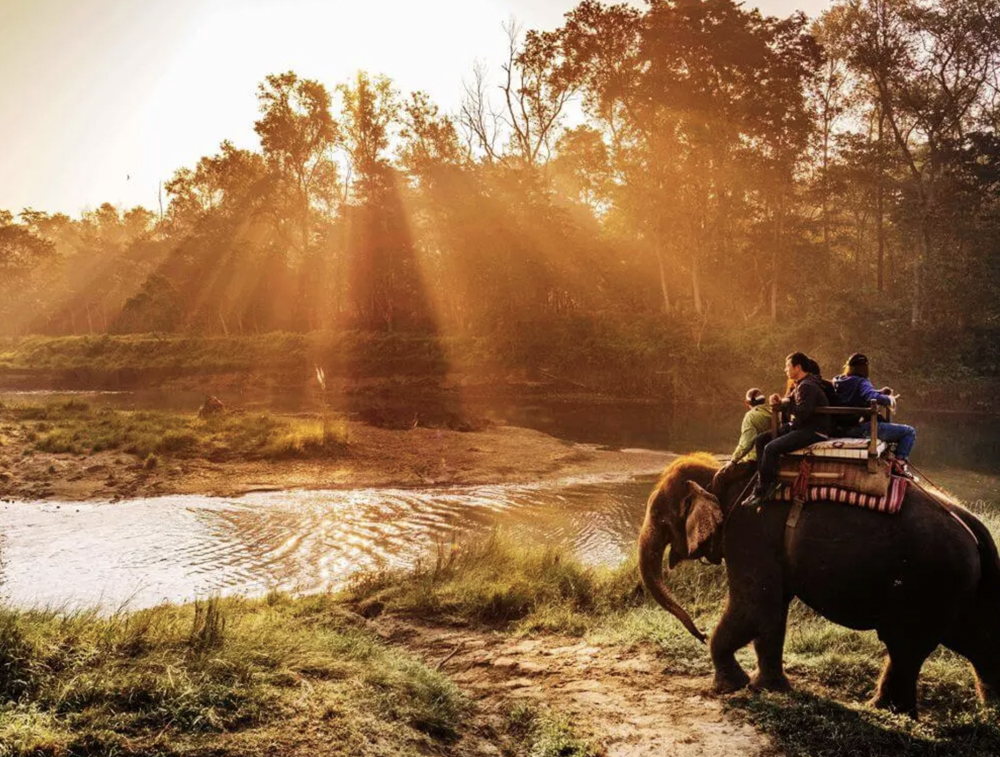 Chitwan Wildlife Safari